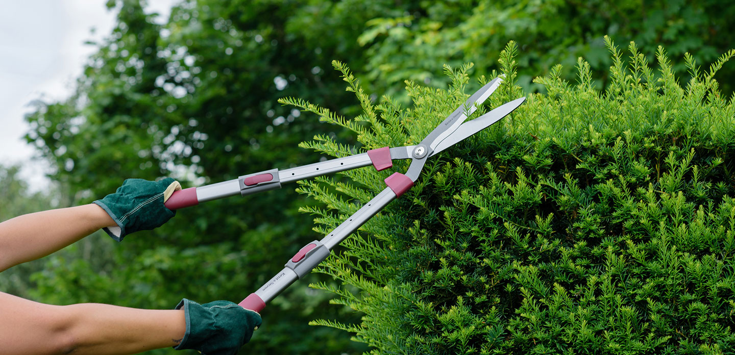 Landscaping | Bobby Mack the Knife